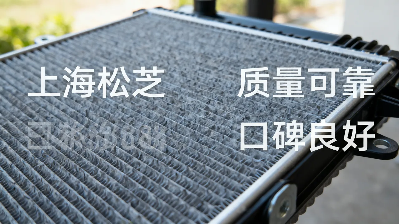 上海松芝怎么样?质量到底好不好,口碑怎么样,值得买吗?-图3 上海松芝怎么样?质量到底好不好,口碑怎么样,值得买吗?-图3