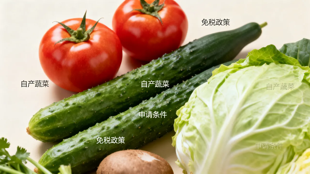 蔬菜如何申请免税？自产蔬菜免税政策条件有哪些-图2