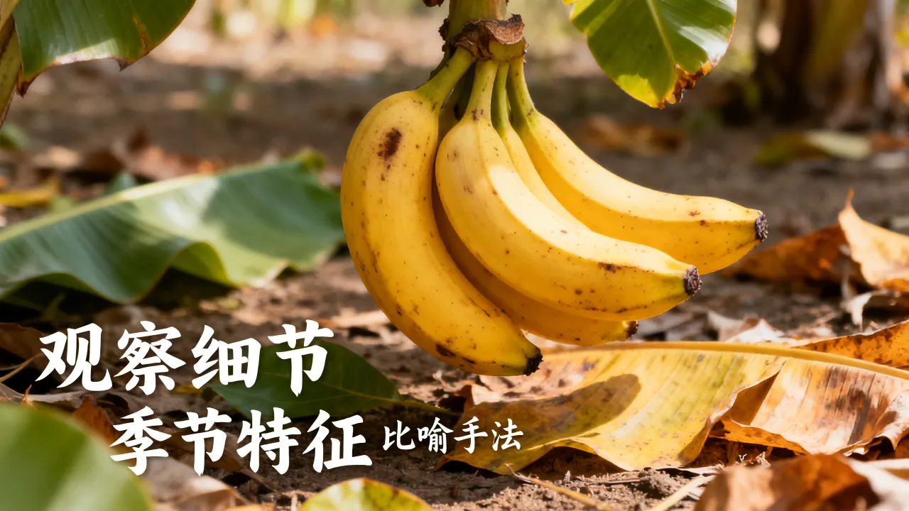 秋天香蕉作文怎么写?小学生写景作文技巧大全