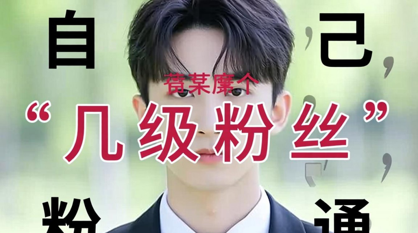 如何看自己是几级粉丝?等级规则和查询方法是什么?-图3 如何看自己是几级粉丝?等级规则和查询方法是什么?-图3