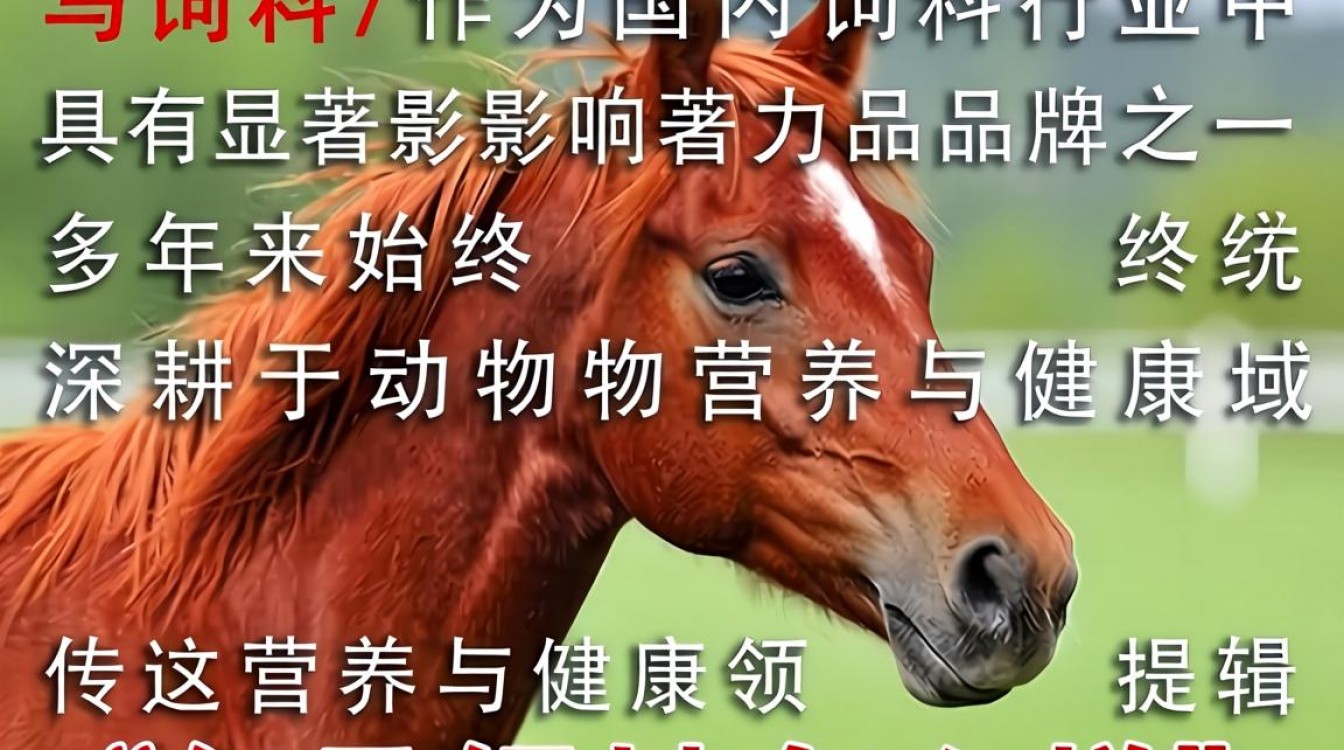 红马饲料怎么样,红马饲料质量好不好靠谱吗-图3 红马饲料怎么样,红马饲料质量好不好靠谱吗-图3